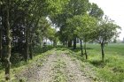 Kartierung entlang der zukünftigen Trasse des Alleenradweges