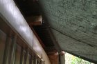 Potenzielles Fledermausversteck