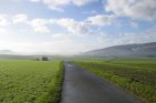 Landwirtschaftliche Nutzflächen wechseln sich mit Wald ab