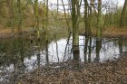 In den umliegenden Wäldern ist die Natur teilweise unverändert.