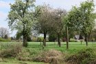 Naturnahe Flächen umgeben den Töttelberg.