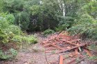 Lagerflächen mit Abrissmaterial der Gartenlauben im Bereich brachgefallener Gärten